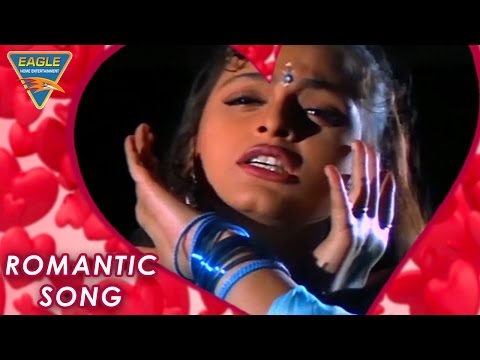 Love Song Of The Day 116 || Bollywood Best Songs || Rangbaaz || Eagle Hindi Movies