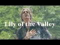 Steve Derthick - Lily of the Valley