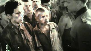 Отрывок из фильма "Судьба человека". Расстрел