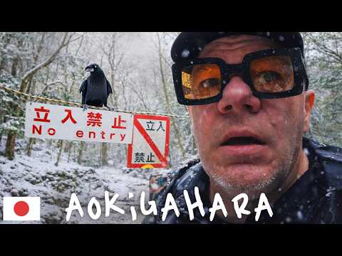 Alone in Japan’s Forbidden Forest | Aokigahara Jukai 🇯🇵
