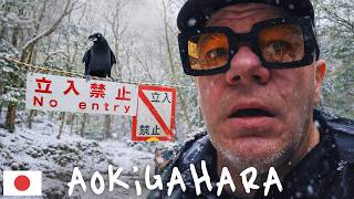 Alone in Japan’s Forbidden Forest | Aokigahara Jukai 🇯🇵