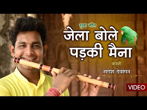 JELA BOLE PADKI MAINA | FLUTE VERSION | NAGESH DEWANGAN | छत्तीसगढ़ी सुवा गीत | CG Song 2021