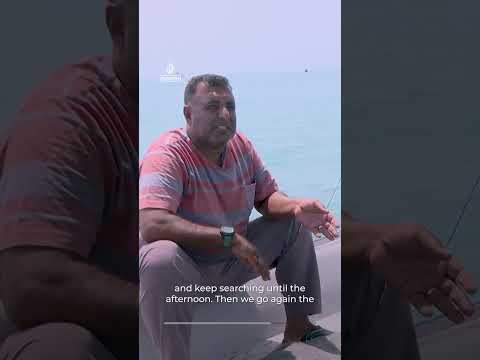 Iranian fishermen struggle to survive amid Hormuz blockade