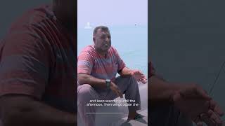 US blockade of Iranian ports devastates Hormuz fishermen's livelihoods