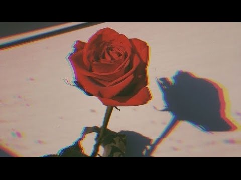 ”守候避風港”  #LilN #釋迦 (official video)