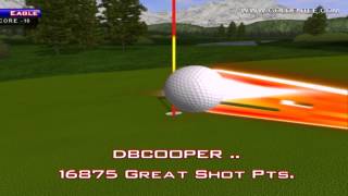 preview picture of video 'Golden Tee Great Shot on Bear Lodge!'