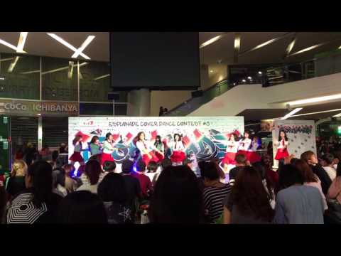 Ily cover I.O.I - Dream girls