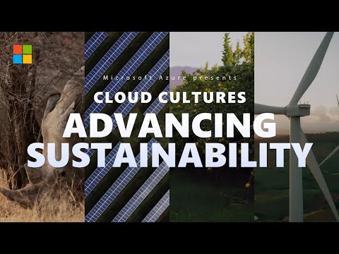 How businesses around the world are tackling sustainability | Cloud Cultures