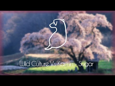 Wild Culture Vs. Karmin - Sugar | Copyright