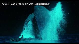《少年Pi的奇幻漂流》6.5(五) 大銀幕精彩重獻