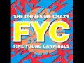 Fine Young Cannibals - She Drives Me Crazy ...