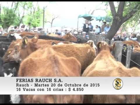 20-10-15 Venta de Vientres - Ferias Rauch S.A. - Rauch.