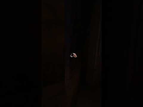 Playing Every Amnesia Game (So Far) Was a Mistake Part 4 #amnesia #horrorgame #gaming #shorts