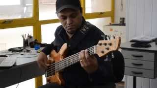 Picks and Pans - John Scofield   (bass)