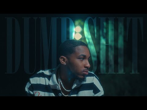 Ice Cube Doing Dumb Shit song