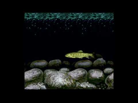 VGM YSHHO #174 - Kawa no Nushi Tsuri: Shizenha - OP Theme