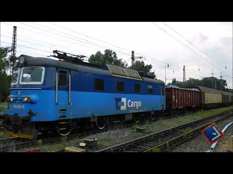 Nákladní vlaky ve výhybně Dluhonice dne 15. srpna 2020