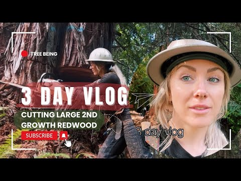 Cutting in a Large 2nd Growth Redwood Patch (3 Day Vlog)