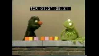 Classic Sesame Street - Grover and Kermit Count 9 Blocks