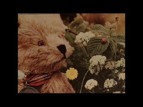 Teddy Edward, Rain Episode