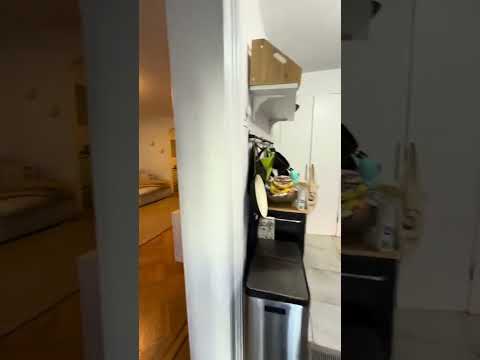 video 1