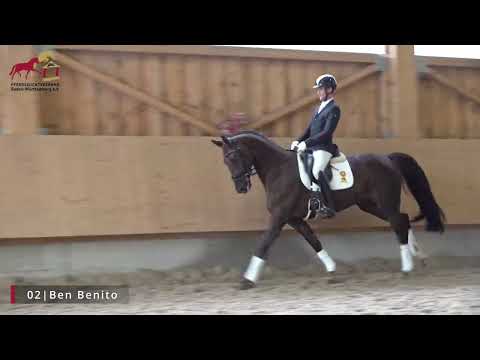 KN 2 Ben Benito *2017 Wallach v. Ben Benicio - Liberator