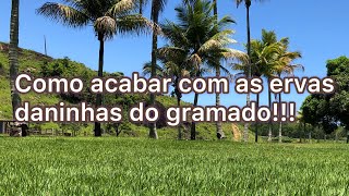 Como acabar com as ervas daninhas no gramado! Tiririca, amendoim bravo, trevo, dente de leão...