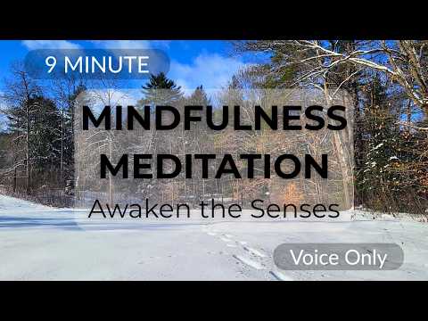 9-Minute Mindfulness Meditation to Awaken the Senses | Inclusive, Gentle, Guided Practice