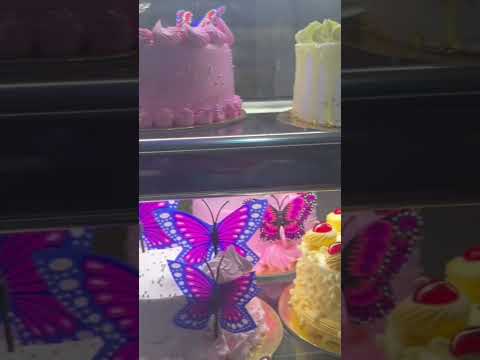 JIBRIL & JiBRAN #happynewyear #viralvideo