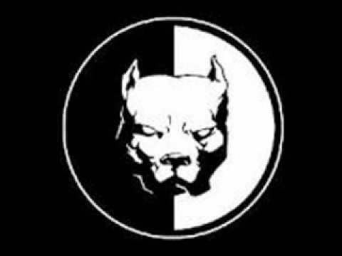 mc jonas ilha bela quem e vida loka