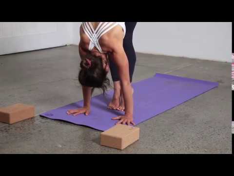 Breakdown: float back to chaturanga (PRESS PLAY)