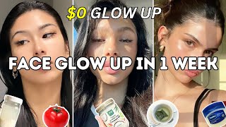 Face Glow Up in a Week with Zero Dollars!