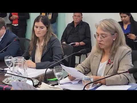 La Voz TV: Concejo Deliberante de Plaza Huincul