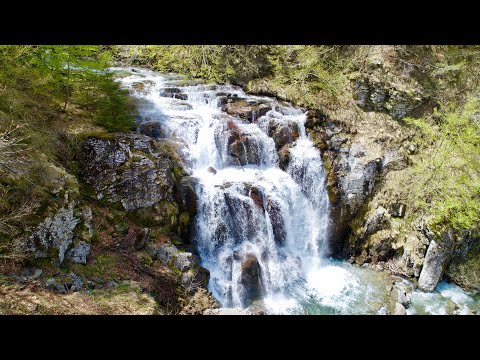 Il sentiero delle cascate di Sant’anna Pelago. Documentario LIVE