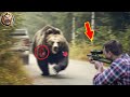 Animals That Asked People for Help & Kindness! #1 | D-Animals Grow Up 2024