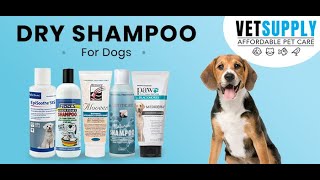 Dog Shampoo | Dry Shampoo For Dogs | Aloveen Dog Shampoo | VetSupply