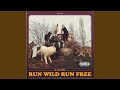 Run Wild Run Free