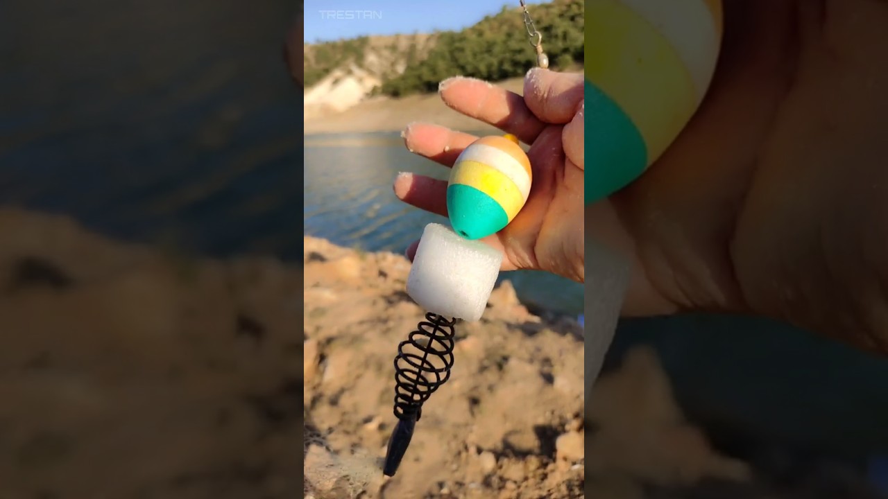 من أجمل طرق صيد السمك بالشباك