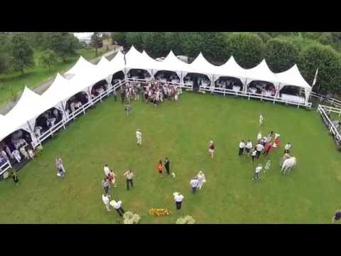 Best In Show Selection @ The Elran Arabian Cup 2014