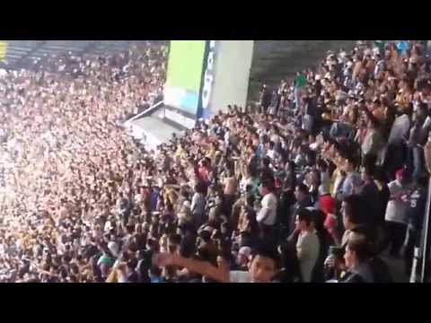 "America vs Pumas. La Rebel Apertura 2014" Barra: La Rebel &bull; Club: Pumas