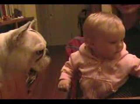 Miniature de la vidéo