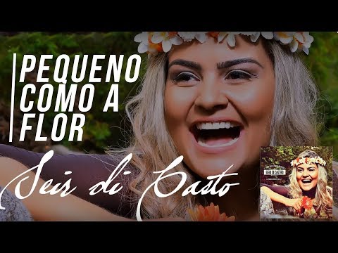 Pequeno Como a Flor - Seir Di Castro