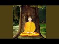 Universal Love Reprise