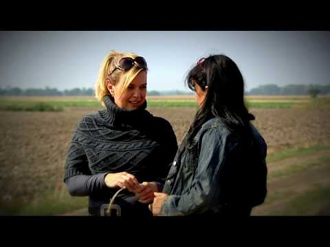 Gasztroangyal 3. rész - Hagyma és fokhagyma (2011)