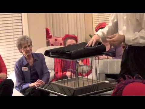 Dove magic by Brad Hatcher Magic Man 2013