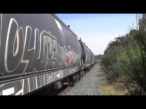 80 classes on Qube grain train and various freights