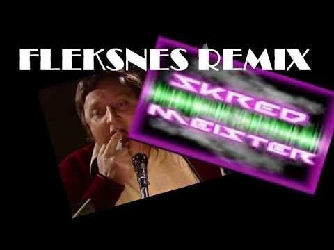 FLEKSNES RADIOTEN (REMIX) - Skredmeister