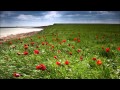 Okna Tsahan Zam - "Edjin Duun" 