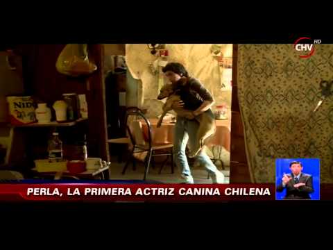 Perla se convierte en la primera mascota en protagonizar una película