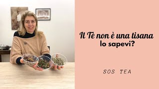 SOS TEA - Il Tè non è una tisana, lo sapevi